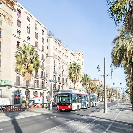Alcam Colon Barcelone